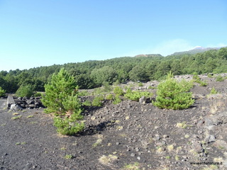 nte Rinatu-15-09-2019 09-13-44